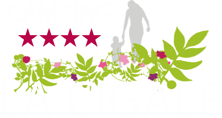 Camping Bassin d'Arcachon LA CIGALE : camping avec piscine 4*, familial, location chalets, nature, calme