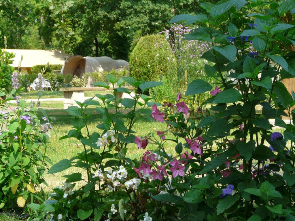 Camping La Cigale — photo 4